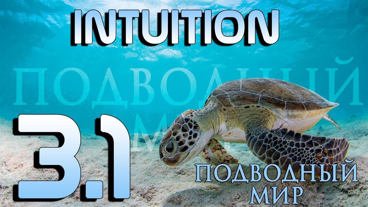 intuicziya 31 podvodnyj mir Семинары, книги, программы, обучение по авторским методикам Айрэн По и Джули По